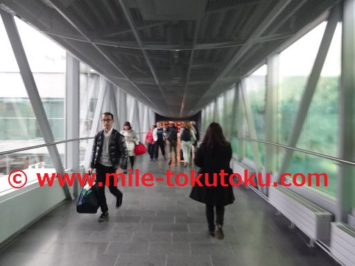 �w���V���L��` ���p�� �u���b�W��n��