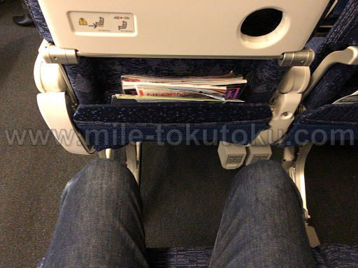 ANA国内線 普通席 モニター付き新シート 足元
