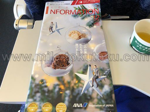 ANA国内線 普通席 モニター付き新シート 小冊子