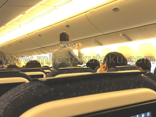 ANA国内線 普通席 客室乗務員