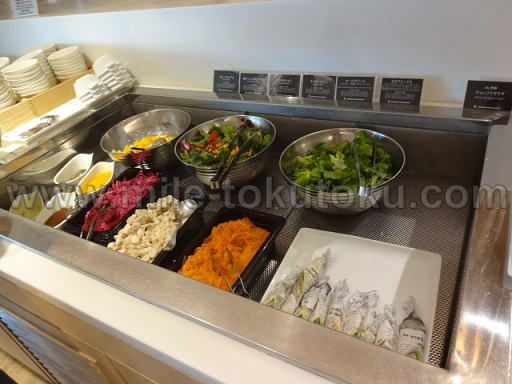 �H�c/���c ���ې�JAL�T�N�����E���W �T���_�o�[