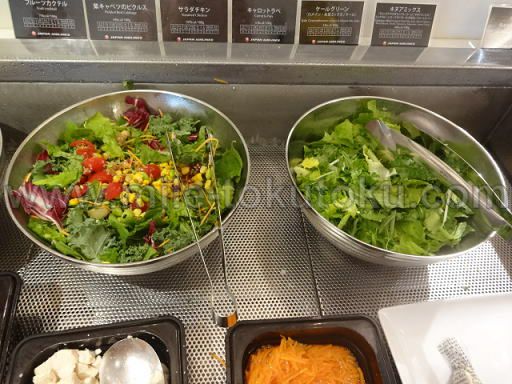 �H�c/���c ���ې�JAL�T�N�����E���W �O���[���T���_