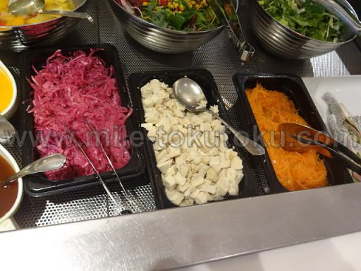 �H�c/���c ���ې�JAL�T�N�����E���W ���