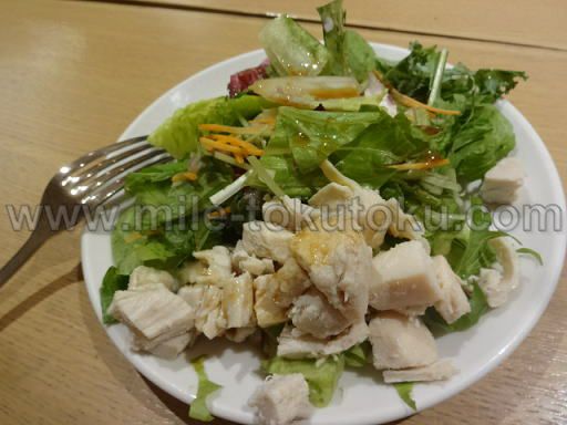 �H�c/���c ���ې�JAL�T�N�����E���W �T���_�`�L��