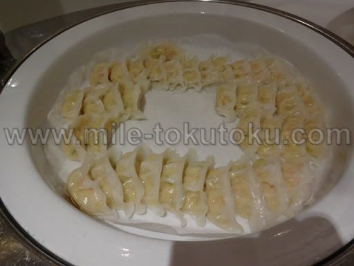 �H�c/���c ���ې�JAL�T�N�����E���W �L�q