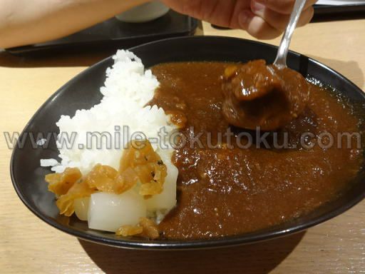 �H�c/���c ���ې�JAL�T�N�����E���W JAL�����r�[�t�J���[