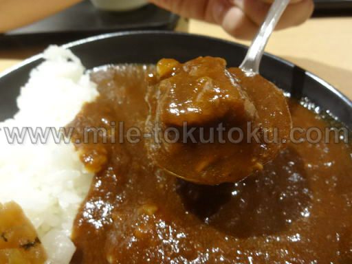 �H�c/���c ���ې�JAL�T�N�����E���W �J���[�̒��̑傫���r�[�t