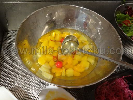 �H�c/���c ���ې�JAL�T�N�����E���W �t���[�c�|���`