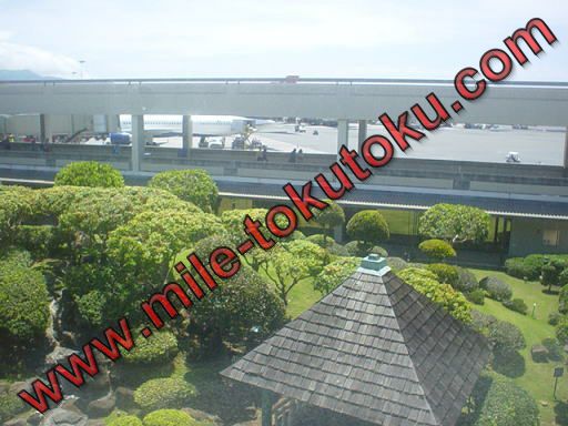 ホノルル空港 JALサクララウンジ 外の景色