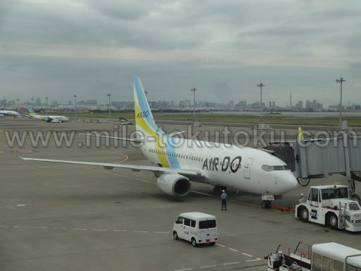 エアドゥ (AirDo) B737型機