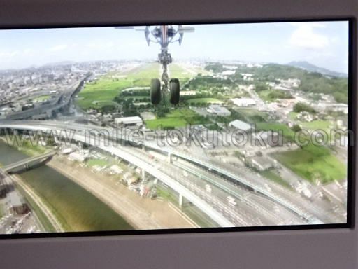 JAL国内線 新ファーストクラス 車輪カメラ