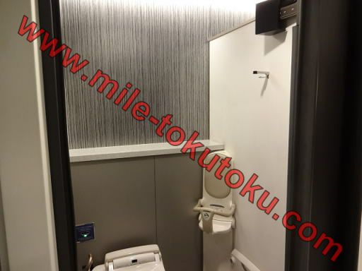 羽田空港 国内線 ANAラウンジ トイレの着替え室