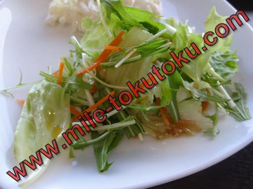 ���c/�H�c ANA���E���W�̐H�� �T���_