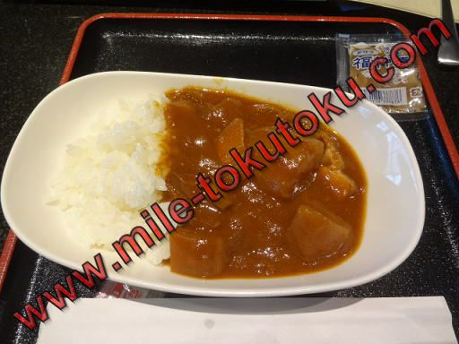 ���c/�H�c ANA���E���W�̐H�� �`�L���J���[