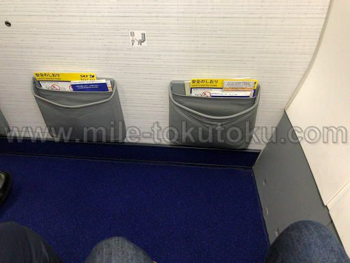 スカイマーク (Skymark) フォワードシート 足元