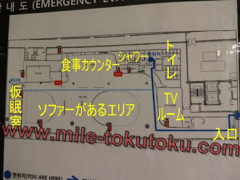 ソウル仁川空港 大韓航空ラウンジ 全体図