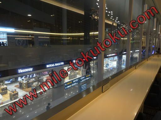 ソウル仁川空港 大韓航空ラウンジ 窓