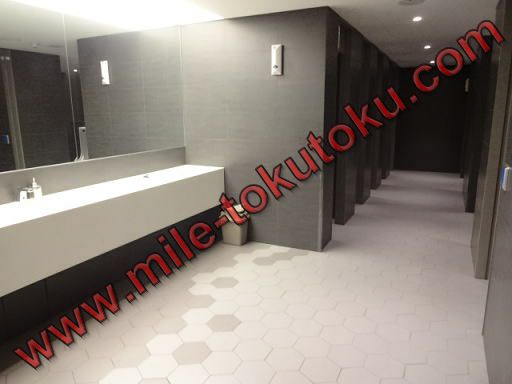 ソウル仁川空港 大韓航空ラウンジ 男性トイレ