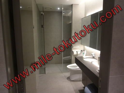 ソウル仁川空港 大韓航空ラウンジ シャワールームの中