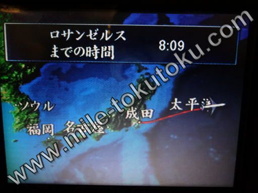 アメリカン航空 B777 エコノミー フライトマップ