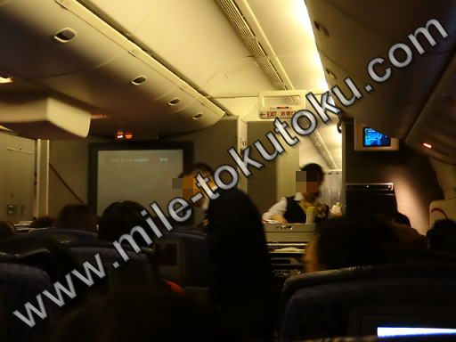 アメリカン航空 エコノミー 客室乗務員