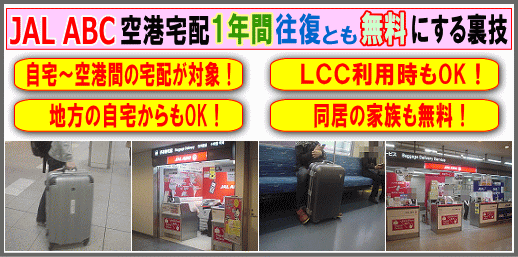 ��`��z (�X�[�c�P�[�X��}��) 1�N�Ԗ����ɂ�����@